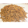 Cordyceps polysaccharide extrait poudre